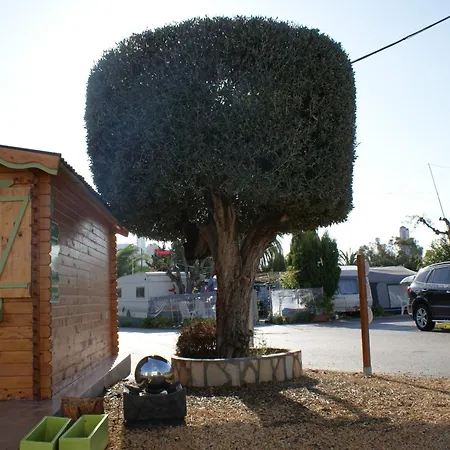 Parque de Campismo Armanello 3*